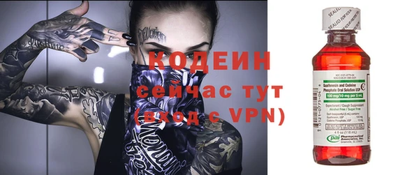 дживик Заводоуковск