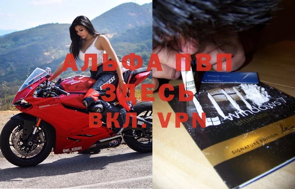 экстази Ельня