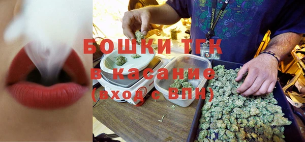 дживик Заводоуковск