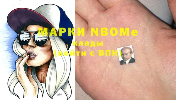 сатива Елабуга