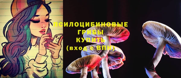дживик Заводоуковск