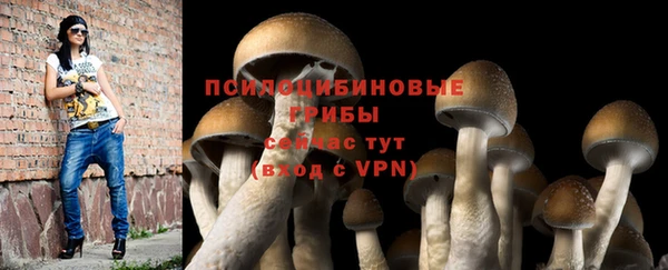 мескалин Заволжье