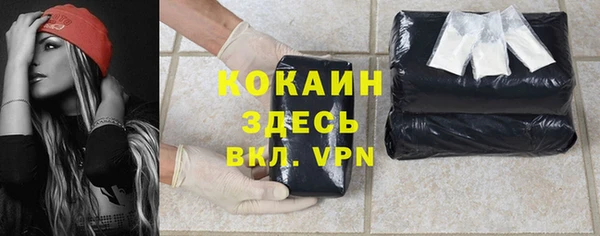 дживик Заводоуковск