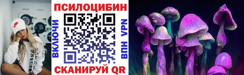 Псилоцибиновые грибы Cubensis  Купить закладки  Полесск 